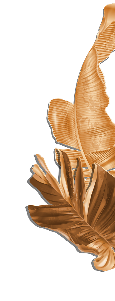 Ramo de folhas direita