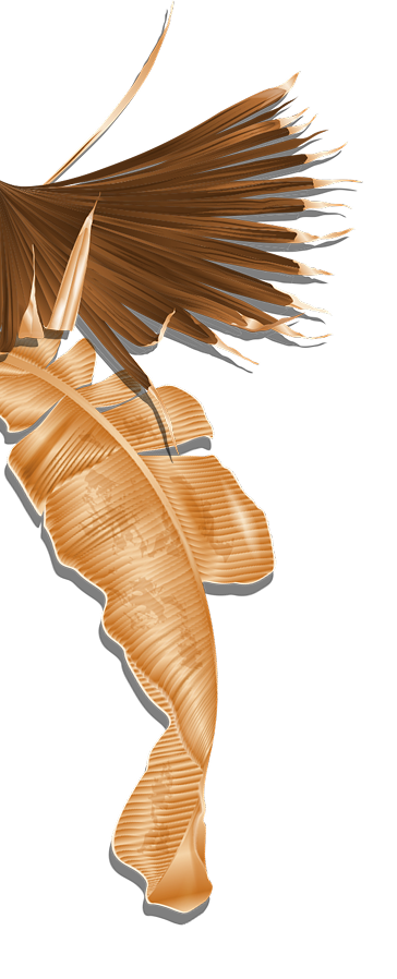 Ramos de folhas esquerdo